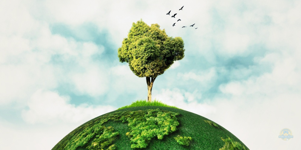 Mês do Meio Ambiente: empresas aceleram ações para a construção de um futuro melhor