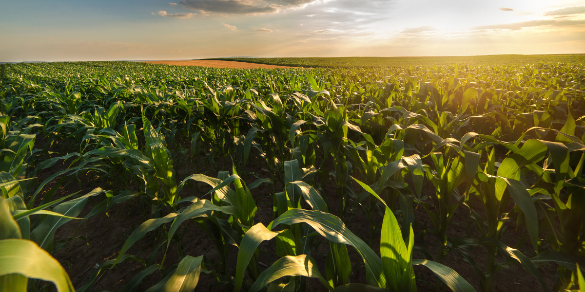 Com vertical consolidada, SEIDOR conecta o Agro 5.0 com estratégia de negócios das empresas do setor
