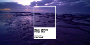 Motorola adota nova identidade visual global com a cor House of Moto Indigo