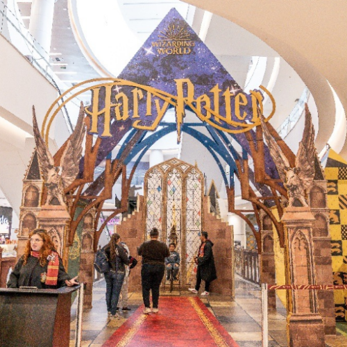 Tietê Plaza promove encontro de fãs de Harry Potter com concurso de figurinos e prêmios temáticos